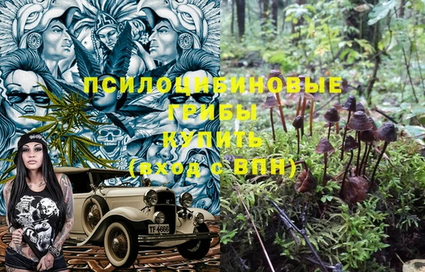 дмт Балабаново