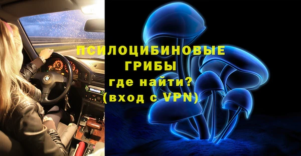 трава Балахна